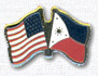 usa germany dual flag pins